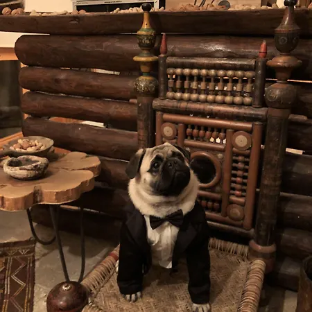 Hotel Wish Cappadocia 5*